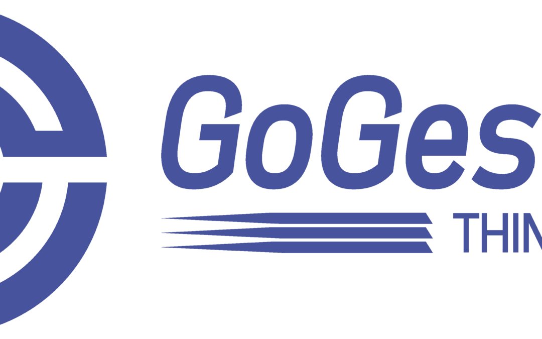 Gogestalt